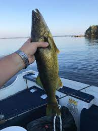 While visiting lake rousseau and for some strange reason you got tired of fishing, there are a lot of other activities to. Nice Early Morning Walleye On Lake Muskoka Fishing