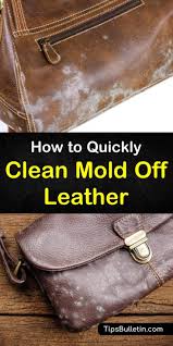Hearth, home accents, outdoor living, yard & garden 4 Simple Ways To Clean Mold Off Leather