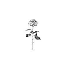 Rosetattoo Rosetattoo Winzige Tattoos Tattoo Ideen Klein Rose Tattoo Ideen