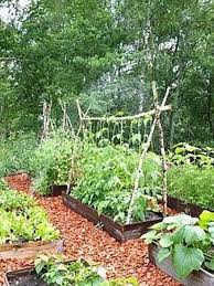 Small Vegetables Garden For Beginners 43 Gardenforbeginners Gardeningforbeginn Vegetable Garden Design Small Vegetable Gardens Vegetable Garden For Beginners