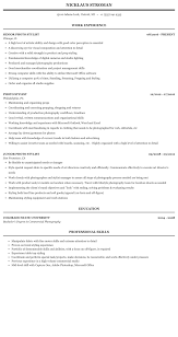 photo stylist resume sample mintresume
