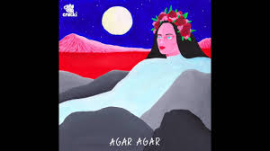 Agar Agar Prettiest Virgin Cool Album Covers Music Artwork Album Design