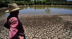 Image result for chuva semiárido