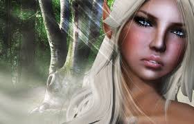 Secondlife Perfect Pictures