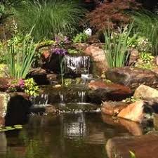 Like any other pets, you need to provide a fresh and healthy environment for your fishes as well. 42 Pond Maintenance Tips Ideas Pond Maintenance Pond Water Garden