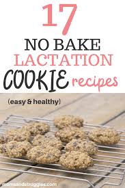 17 Easy And Healthy No Bake Lactation Cookies Recipes Moms And Struggles In 2020 Lactation Cookies Lactation Cookies Easy Lactation Cookies Recipe