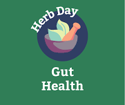 Herb Day: Supporting Your Immune System