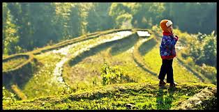 Image result for du lịch sapa