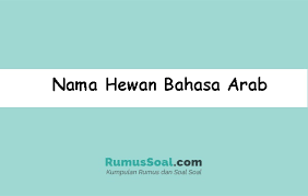 Salah satu bentuk rasa syukur ketika berjumpa dengan hari kelahiran adalah dengan memberikan doa ulang. Nama Hewan Bahasa Arab Lengkap Dengan Artinya