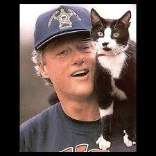 Discover 44 The Most Presidential Cat in the World and cats ideas