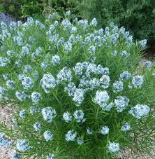 Check spelling or type a new query. Pin On A Walk In A Garden