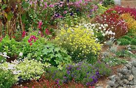 Home Gardening Blogs Google Search English Garden Pretty Gardens Garden Painting