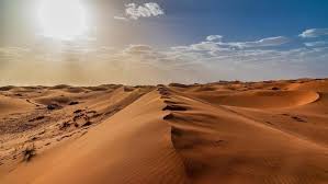 Check spelling or type a new query. Ini 5 Fakta Sahara Gurun Kering Yang Dulunya Padang Rumput
