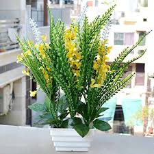 Check spelling or type a new query. Buy Artificial Flowers Yellow Artificial Bonsai Tree Bonsai Plant With Pot Yellow Flowers For Valentine Gift Features Price Reviews Online In India Justdial