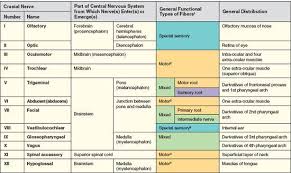Summary Of Cranial Nerves Basicmedical Key In 2020 Cranial Nerves Dental Hygiene School Pharmacology Nursing