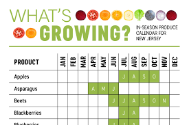 Whats Growing New Jersey Produce Calendar Infographic