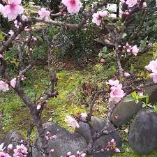 ボード 東京 のピン