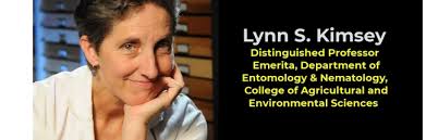 Entomologist Lynn Kimsey in Video Tribute Celebrating Newest UC Davis  Emeriti
