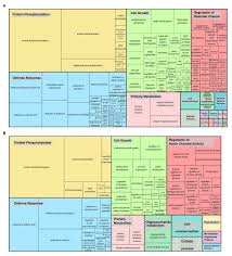 Simulasi gaji, bpjs & pph21 merupakan tools software pengajian gratis untuk membantu anda menghitung perkiraan take home pay. Frontiers The Wild Sugarcane And Sorghum Kinomes Insights Into Expansion Diversification And Expression Patterns Plant Science