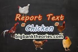 Asam cuka dan airo c. Contoh Report Text Pendek Tentang Ayam Dan Artinya