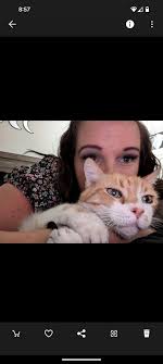 Lost grey and green striped umbrella