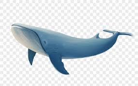 The scientific name of whales. Whale Png Image Picture Free Download 400193804 Lovepik Com