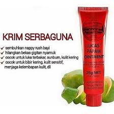 Tidak jarang juga dapat menyebabkan kekhawatiran besar jika gigitan serangga tersebut mengandung racun. Lucas Papaw Ointment Salep Penghilang Bekas Luka Bakar Gigit Nyamuk Alergi Kulit Anak Bayi Dewasa Shopee Indonesia