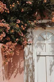 Pin By Madison Sailer On Philosophy Flower Aesthetic Aesthetic Wallpapers Aesthetic Photography