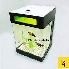 Jual beli aquarium bekas batam, harga aquarium di batam, harga aquarium batam, jual aquarium batam, harga aquarium di batam, jual aquarium bekas batam, jual aquarium di batam, jual aquarium mini batam, jual aquarium murah batam, tempat jual aquarium di batam, kami merupakan pusat. Jual Aquarium Ikan Aquarium Cupang Aquarium Mini Akrilik Murah 05 Kota Yogyakarta Izi Cell Tokopedia