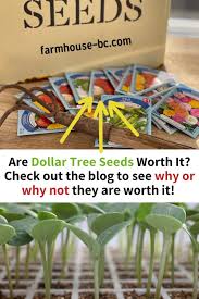 Many rare and unusual varieties sold. 5 Shocking Reasons To Buy Dollar Tree Seeds Farmhouse Bc