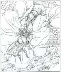 Colouring picture with butterfly, dragonfly, honey bee and dandelion flowers. Coloring Pages