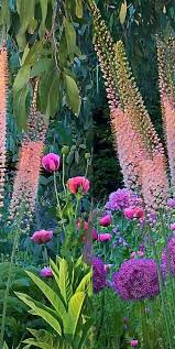 Linda Cochran S Garden Idees Jardin Vivaces