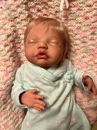 Reborn Dolls and Lifelike Baby Dolls
