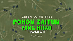 Maybe you would like to learn more about one of these? Pohon Zaitun Yang Hijau Peter Kwon Youtube
