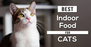 We did this by reading hundreds of reviews, watching videos and comparing the features of each cat food. The 9 Best Indoor Cat Foods Of 2020 Pet Cat Friends
