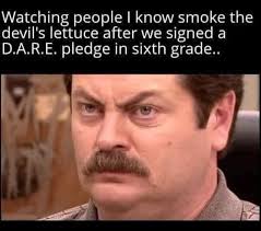 Me & McGruff the crime dog are disappointed ☹️ Nate Russ Comedy