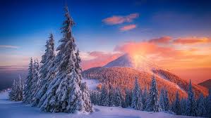 Here you can find mountain desktop wallpapers mountain windows wallpapers pc in both widescreen and 4:3 resolutions. Hd Wallpaper Snow Winter Mountains Sunset Cold Landscape Forest Wallpaper Flare