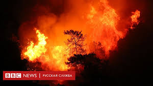 #пожар_в_турция #пожар_в_туркия#сегодня_турция #туркия #турции #турция #ужасная_новост #сегодня_китай #. Lesa Goryat Kak Spichki Anomalnaya Zhara Na Yuge Evropy Sozdala Idealnye Usloviya Dlya Pozharov Bbc News Russkaya Sluzhba