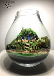 Hydroponic Greenhouse Miniaturowe Ogrody Ogrody Ogrod W Domu