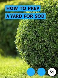 Learn How To Prep A Yard For Sod How To Guides Tips And Tricks Kill Ants Growing Grass Mulch
