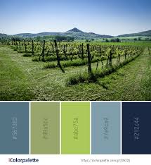 Color Palette Ideas From 3434 Grass Images Icolorpalette Color Palette Color Pallets Colour Pallete