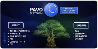 Image result for pavocoin