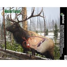 Shot Placement Elk Elk Hunting Tips Deer Hunting Tips
