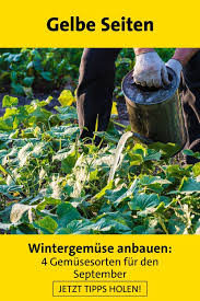 Gartenarbeit Tipps Gartenarbeit Lustig Gartenarbeit Fa R Anfa Nger Gartenarbeit A Gartenarbeit August Gartenarbeit In 2020 Gartenarbeit Wintergemuse Anbauen Garten