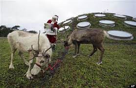Here's the list of santa's reindeer and a ranking that's not at all in the holiday spirit. Santa S Reindeer Names List From Night Before Christmas Poem Huffpost