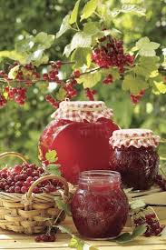 Epingle Par Myette Sur Fruits En Scene Confiture