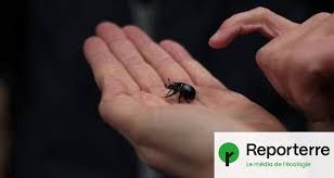 Photo La biodiversité victime de la rigueur budgétaire - Reporterre