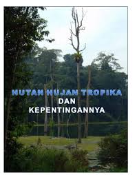 Kajian ekosistem hutan hujan tropika tanah pamah atau hutan dipterokap (lowland dipterocarp forest) bersama universiti malaysia terengganu di hutan lipur sek. Artikel Hutan Hujan Tropika Dan Kepentingannya Wannura