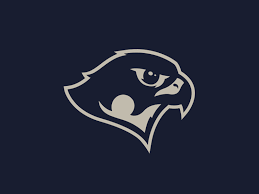 Falcon Falcon Logo Bird Logos Best Logo Design