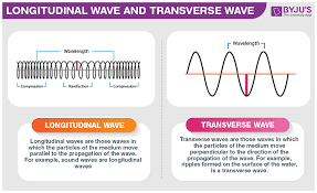 A transverse wave is a wave in which particles move perpendicular to the direction of the wave propagation. Difference Between Longitudinal And Transverse Wave With Its Practical Applications In Real Life